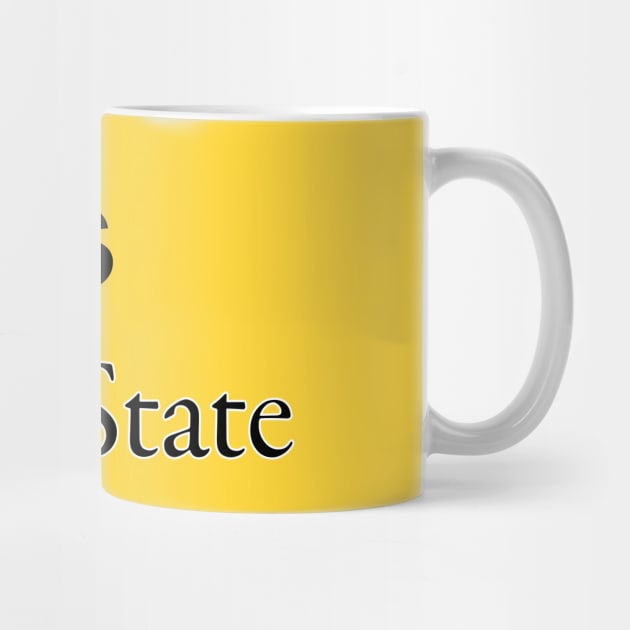 Generic State Shirt by rt-shirts